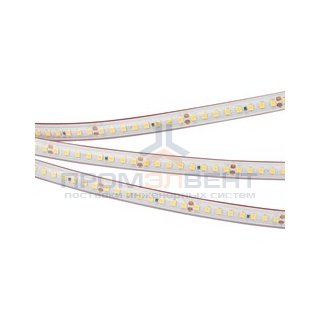 Лента RTW 2-5000PS 24V Day4000 2x (2835, 160 LED/m, LUX)