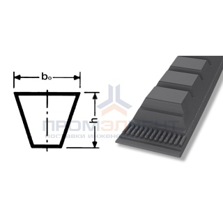 ремень xpa 2310