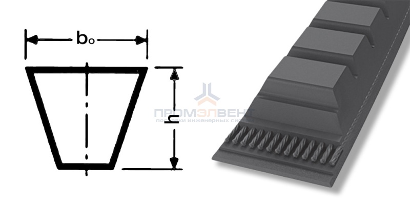 ремень xpa 3350